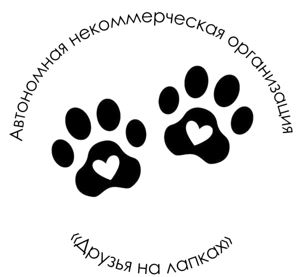 Друзья на лапках